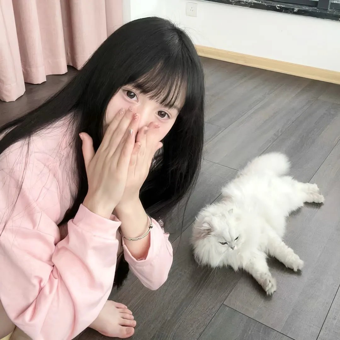 阴羚